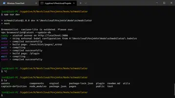 Windows-Terminal mit Cygwin