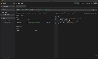 Bruno – eine schlanke Open-Source-Alternative zu Postman