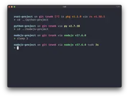 Starship - Ein plattformübergreifende Prompt für Linux, Windows und macOs